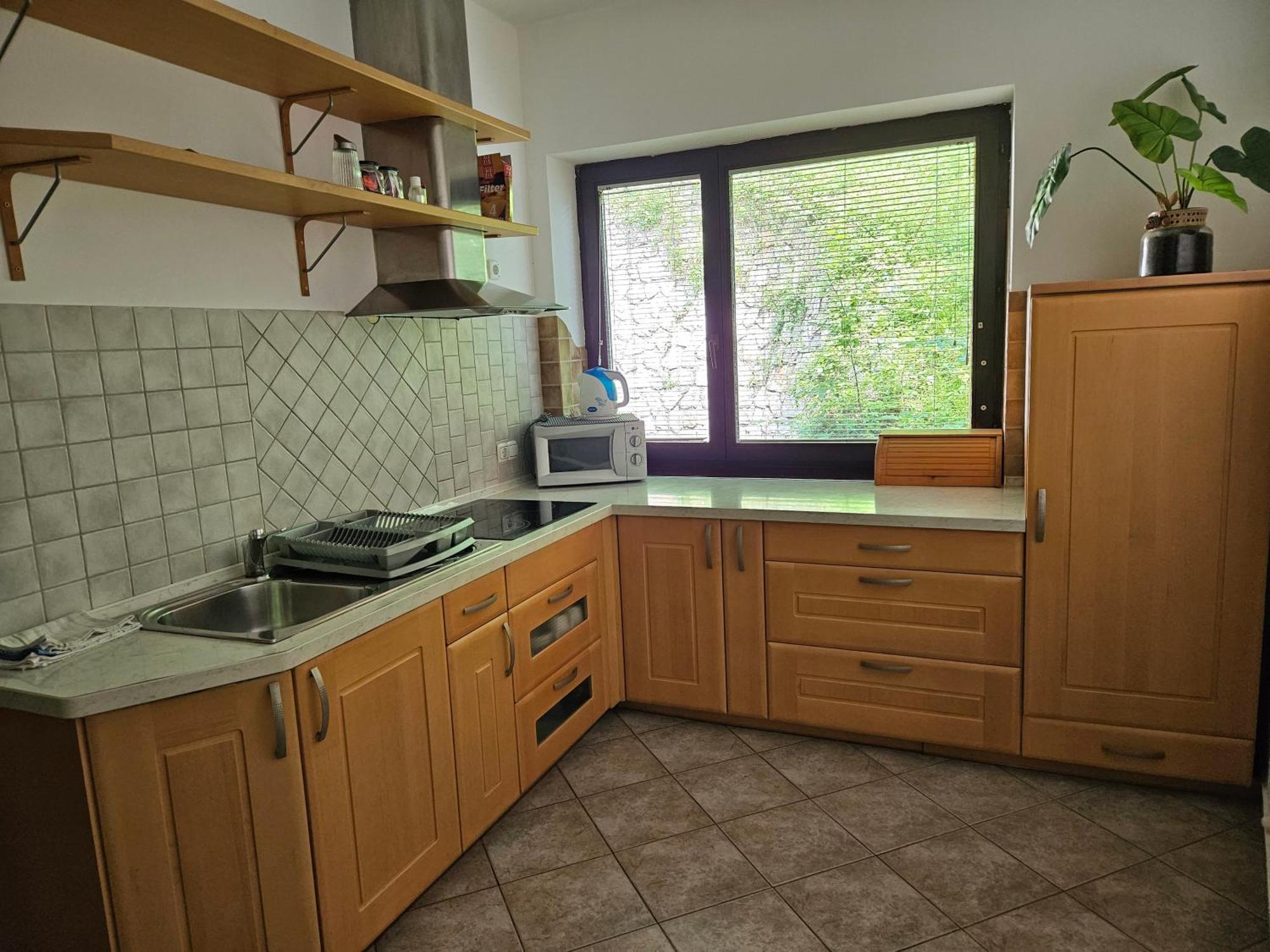 블레드 Apartma Panorama 아파트 객실 사진